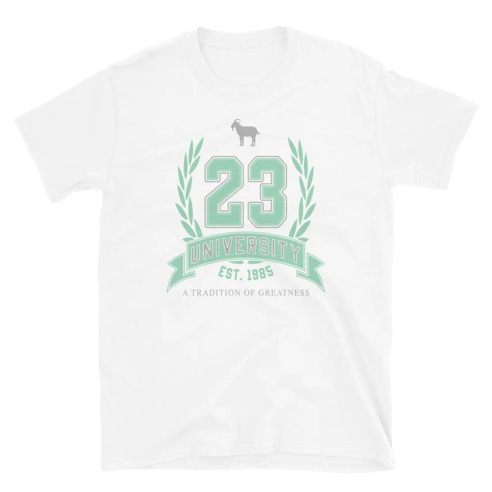 23 University Goat Emoji Shirt to Match Air Jordan 6 Mint Foam