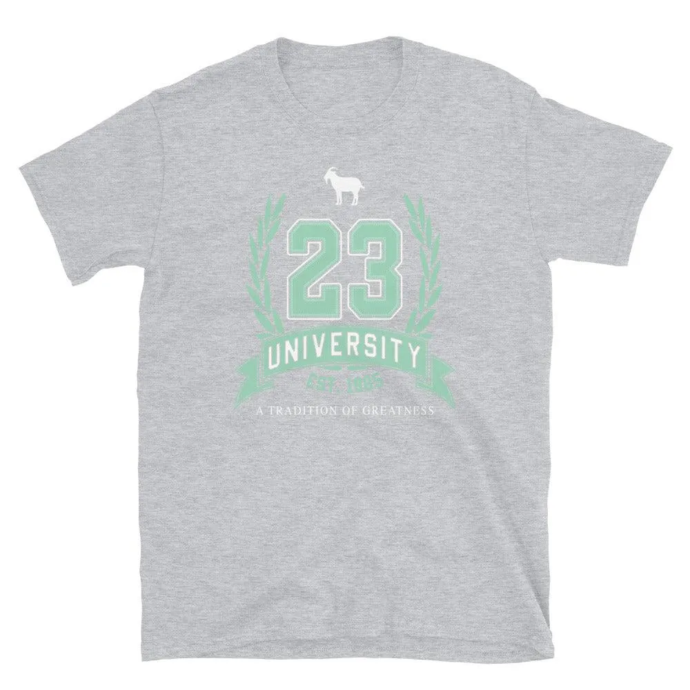 23 University Goat Emoji Shirt to Match Air Jordan 6 Mint Foam