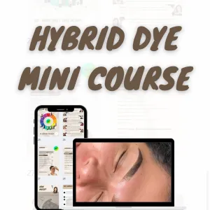 Brow'd Up - Hybrid Dye Mini Course