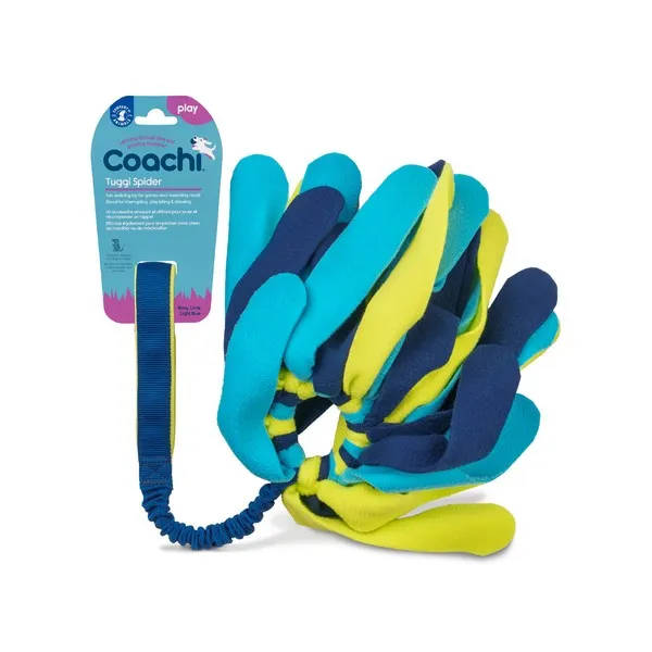 Coachi Tuggi Spider Navy Lime & Light Blue Training Toy