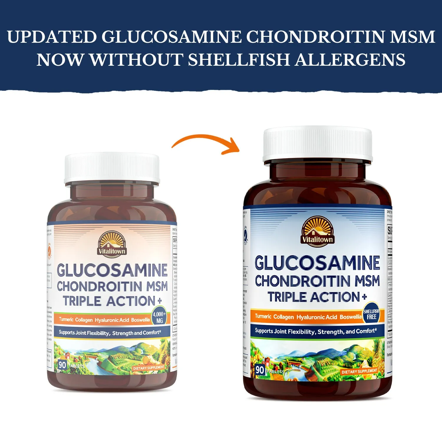 Glucosamine Chondroitin MSM