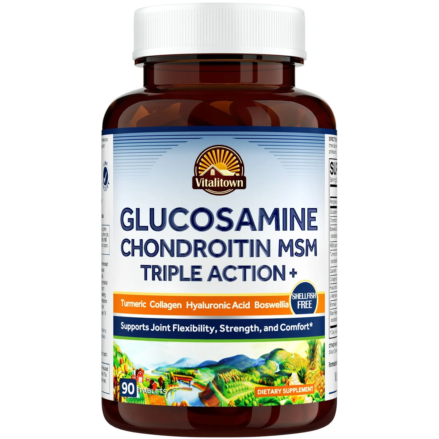 Glucosamine Chondroitin MSM