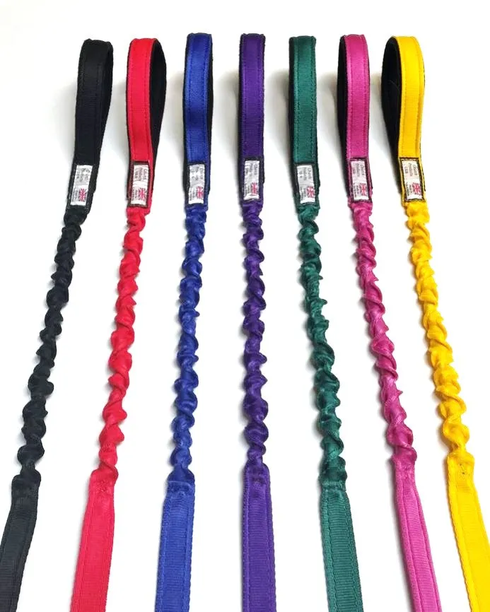 Shock Absorbing Bungee Dog Lead Training Walking Leash With Soft Padded Handle