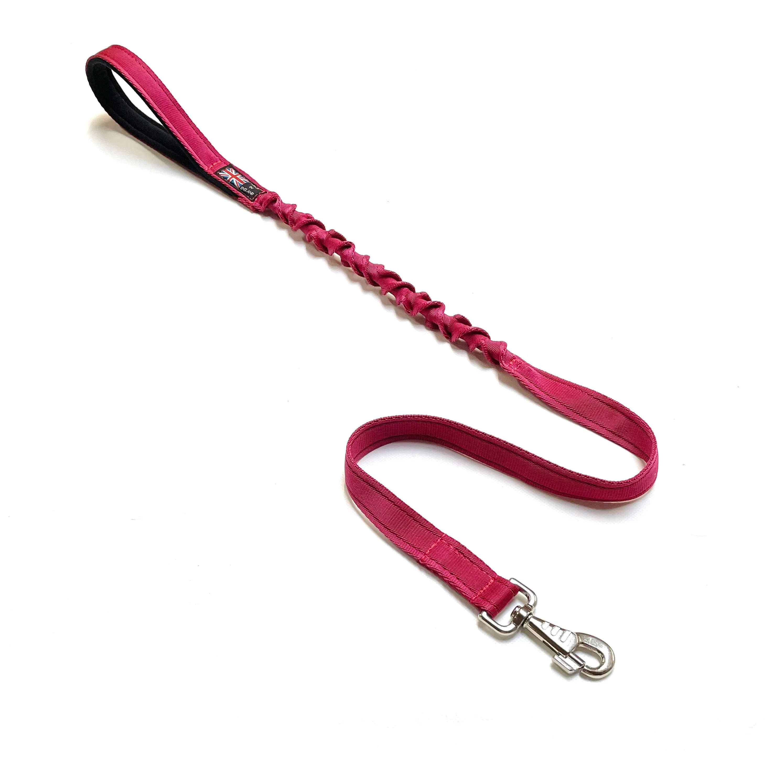 Shock Absorbing Bungee Dog Lead Training Walking Leash With Soft Padded Handle