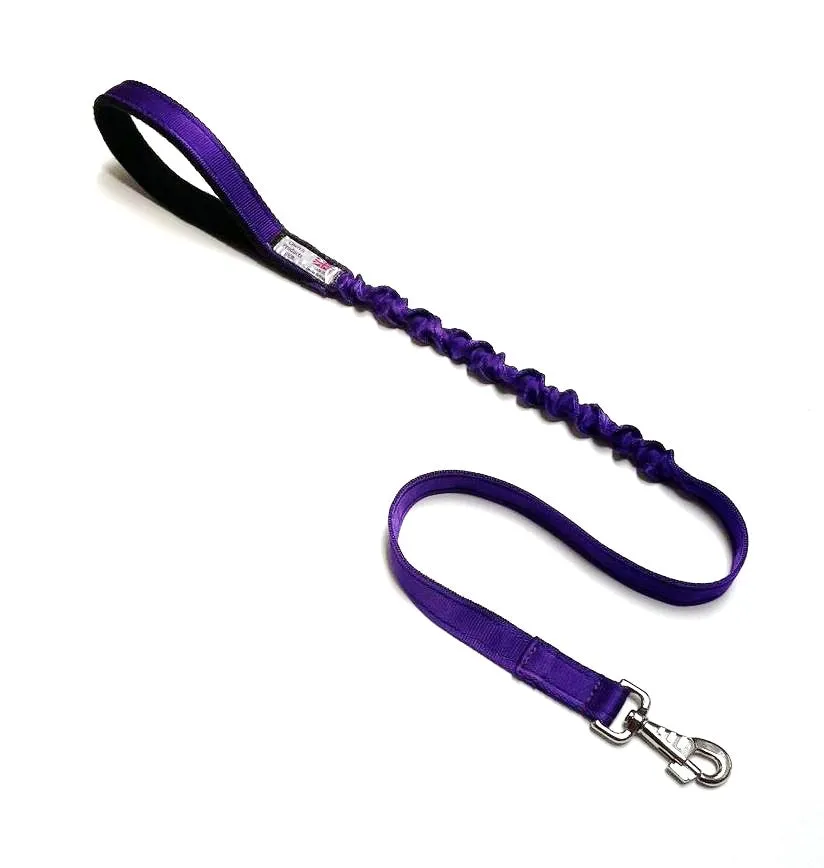 Shock Absorbing Bungee Dog Lead Training Walking Leash With Soft Padded Handle