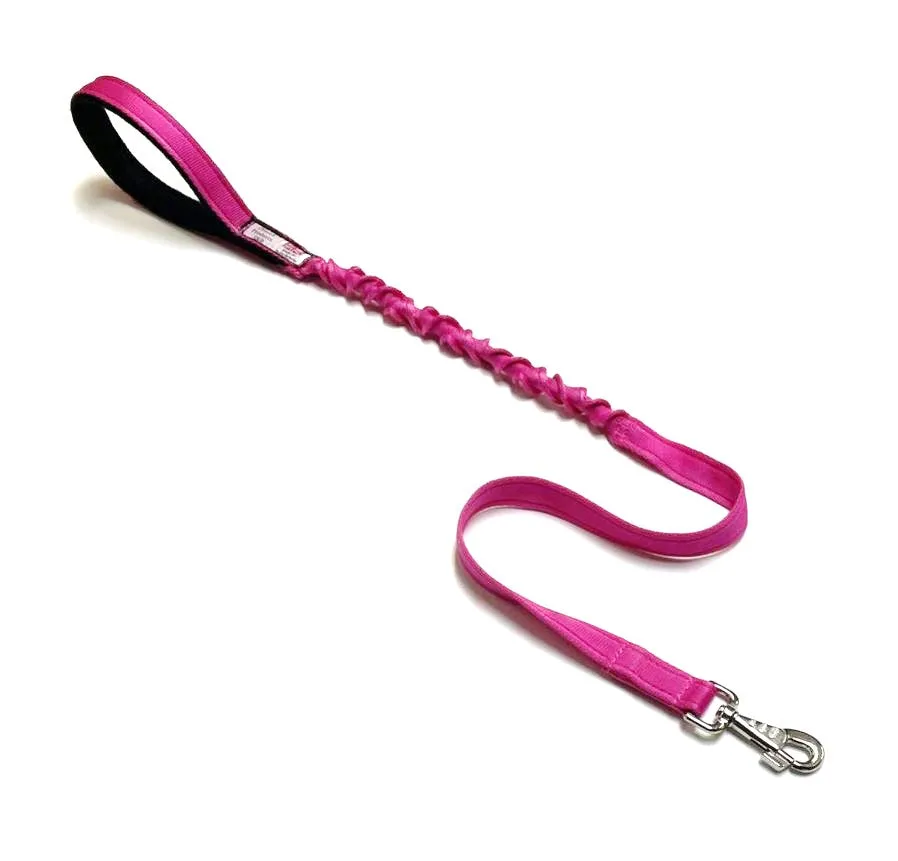 Shock Absorbing Bungee Dog Lead Training Walking Leash With Soft Padded Handle