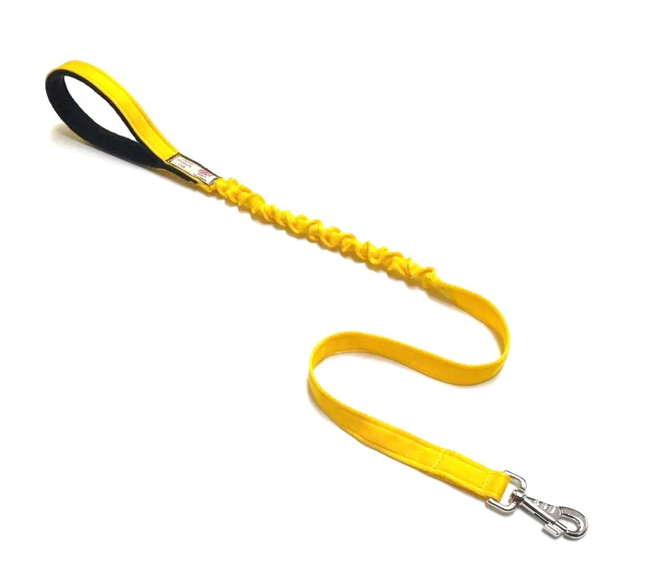 Shock Absorbing Bungee Dog Lead Training Walking Leash With Soft Padded Handle